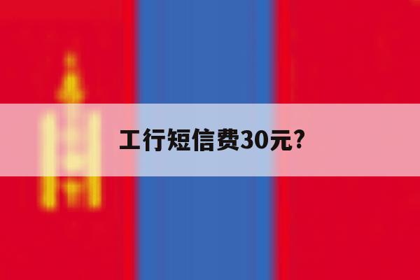 工行短信费30元? 工行短信费30元?