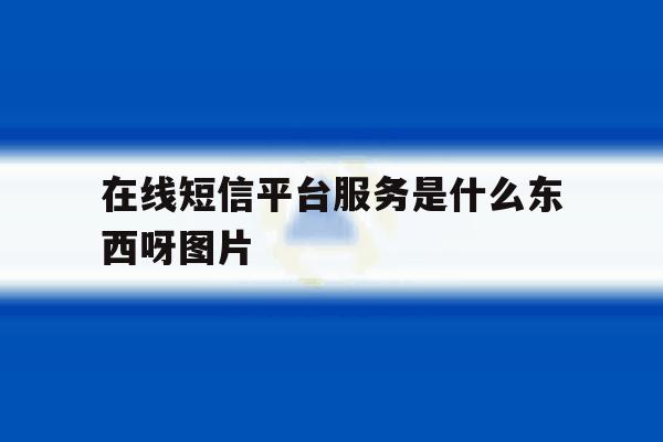 在线短信平台服务是什么东西呀图片 在线短信平台服务是什么东西呀图片