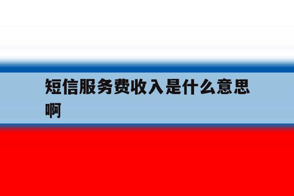 短信服务费收入是什么意思啊 短信服务费收入是什么意思啊