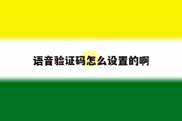 语音验证码怎么设置的啊 语音验证码怎么设置的啊