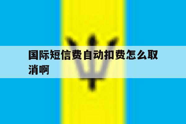 国际短信费自动扣费怎么取消啊 国际短信费自动扣费怎么取消啊
