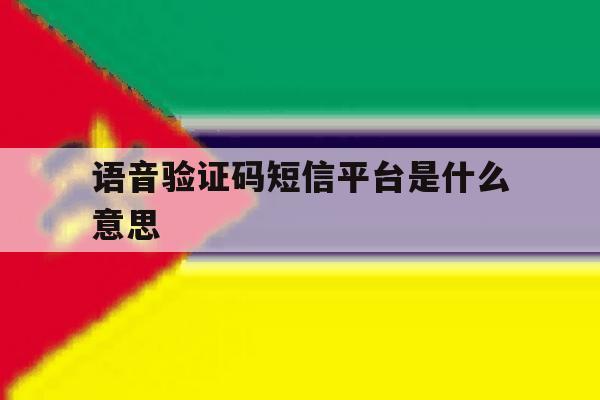 语音验证码短信平台是什么意思 语音验证码短信平台是什么意思
