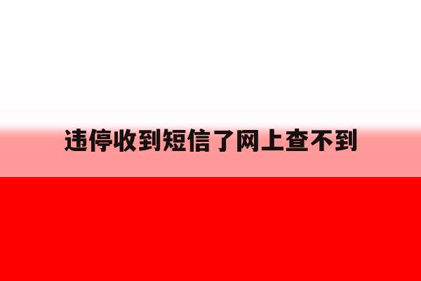 违停收到短信了网上查不到 违停收到短信了网上查不到