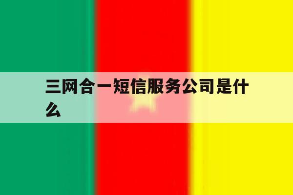 三网合一短信服务公司是什么 三网合一短信服务公司是什么