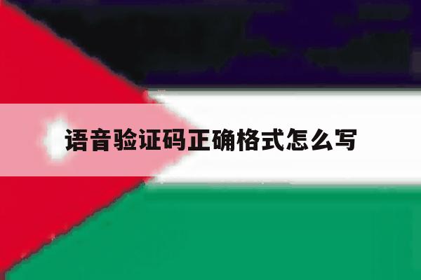 语音验证码正确格式怎么写 语音验证码正确格式怎么写