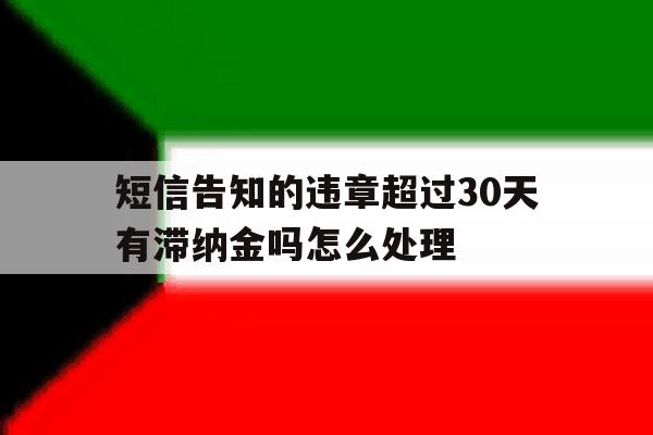 短信告知的违章超过30天有滞纳金吗怎么处理 短信告知的违章超过30天有滞纳金吗怎么处理
